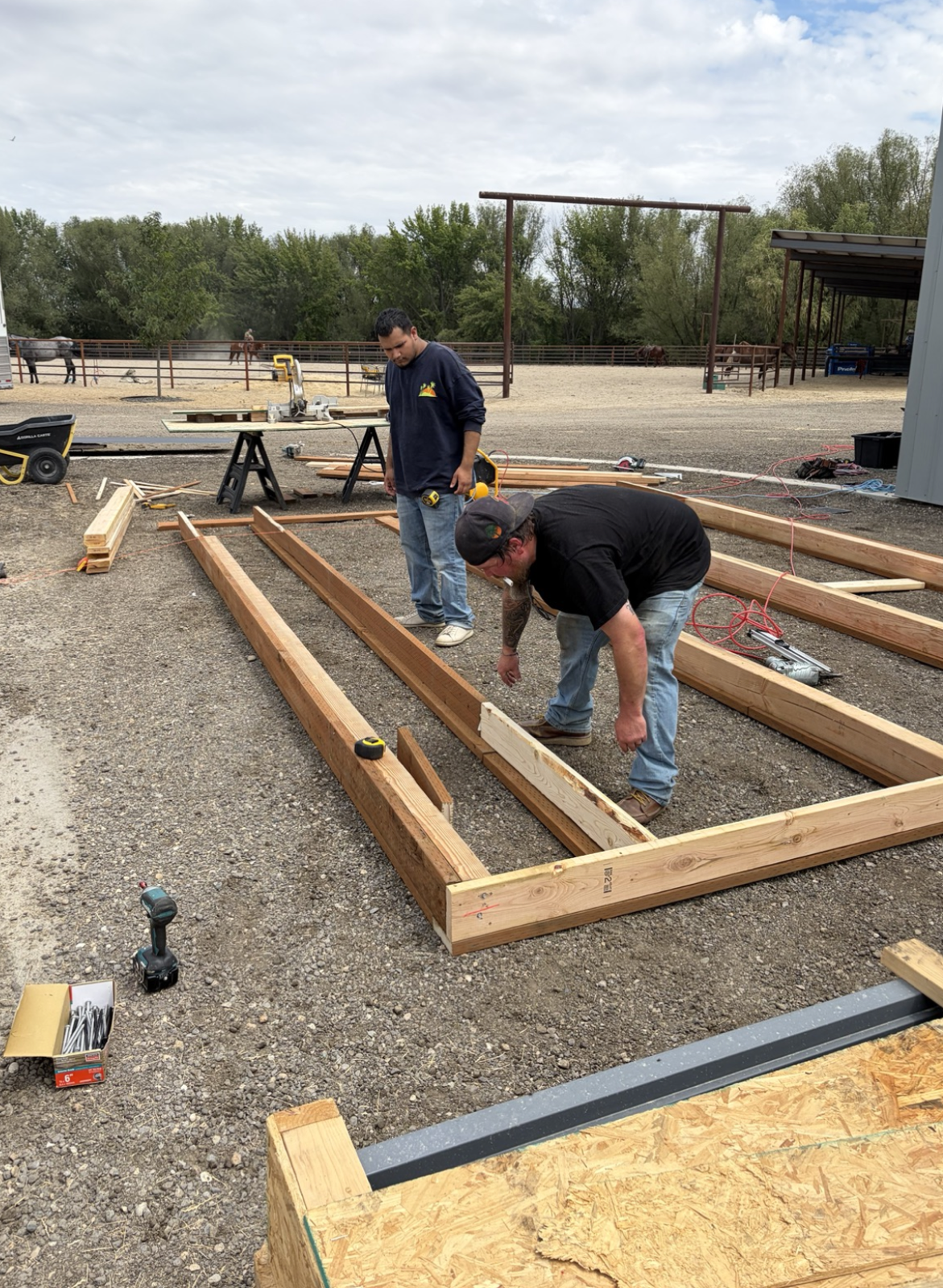 Fellows assembling a timber frame structure on site